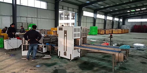 智能化蛋品包装装备 香河金璧盛护航蛋品产业高效升级